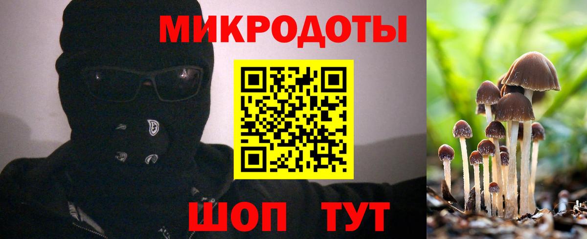Псилоцибиновые грибы GOLDEN TEACHER  Вход с VPN  Барнаул  Галлюциногенные грибы Psilocybe 