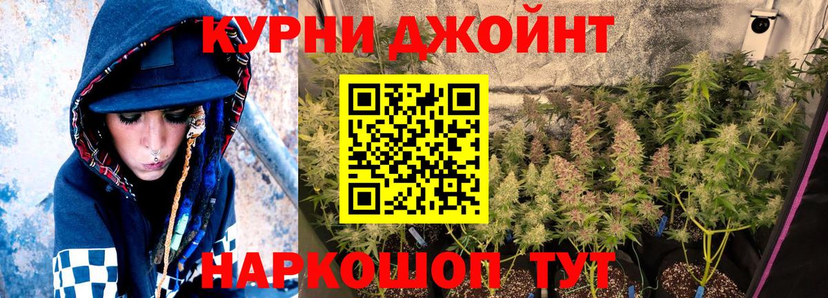 Канабис план Барнаул